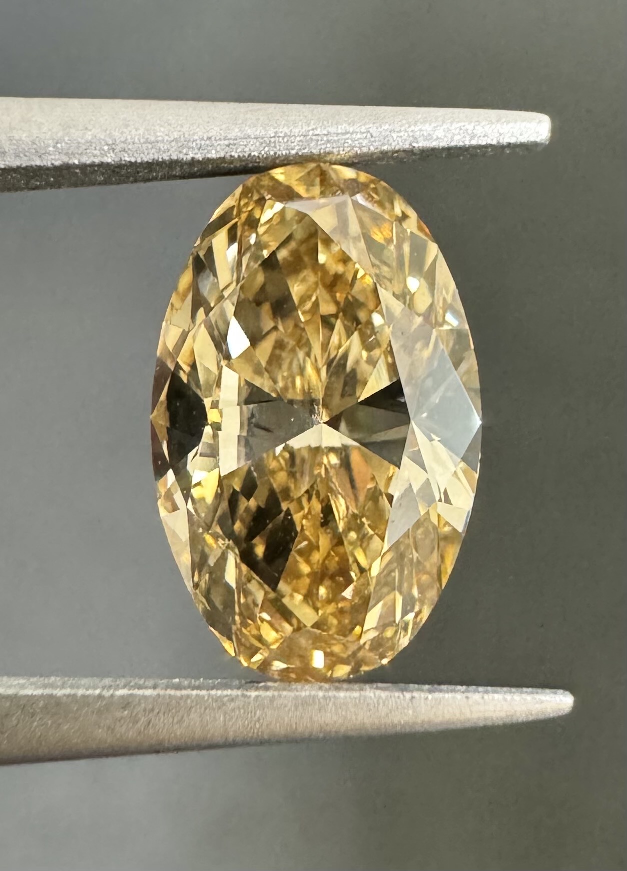 Oval SINGLE image 5 of 8