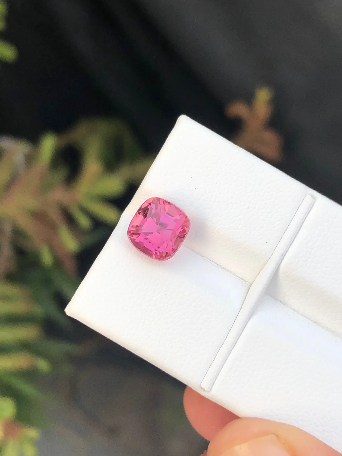 3.50ct Cushion tourmaline image 2 of 2